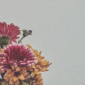 Meet your Posher, Mel